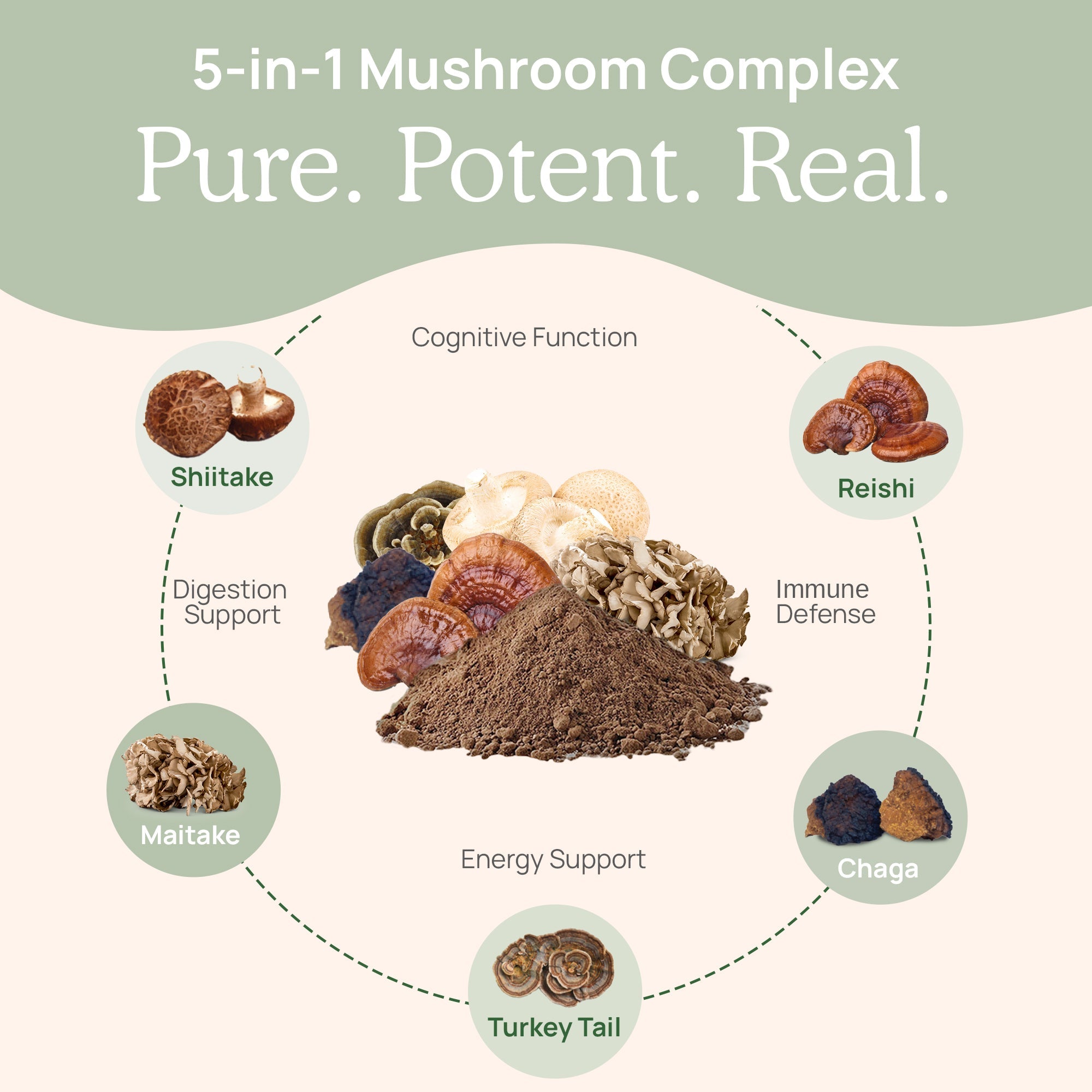 5 Defenders Organic Mushroom Complex – Bulk Powder