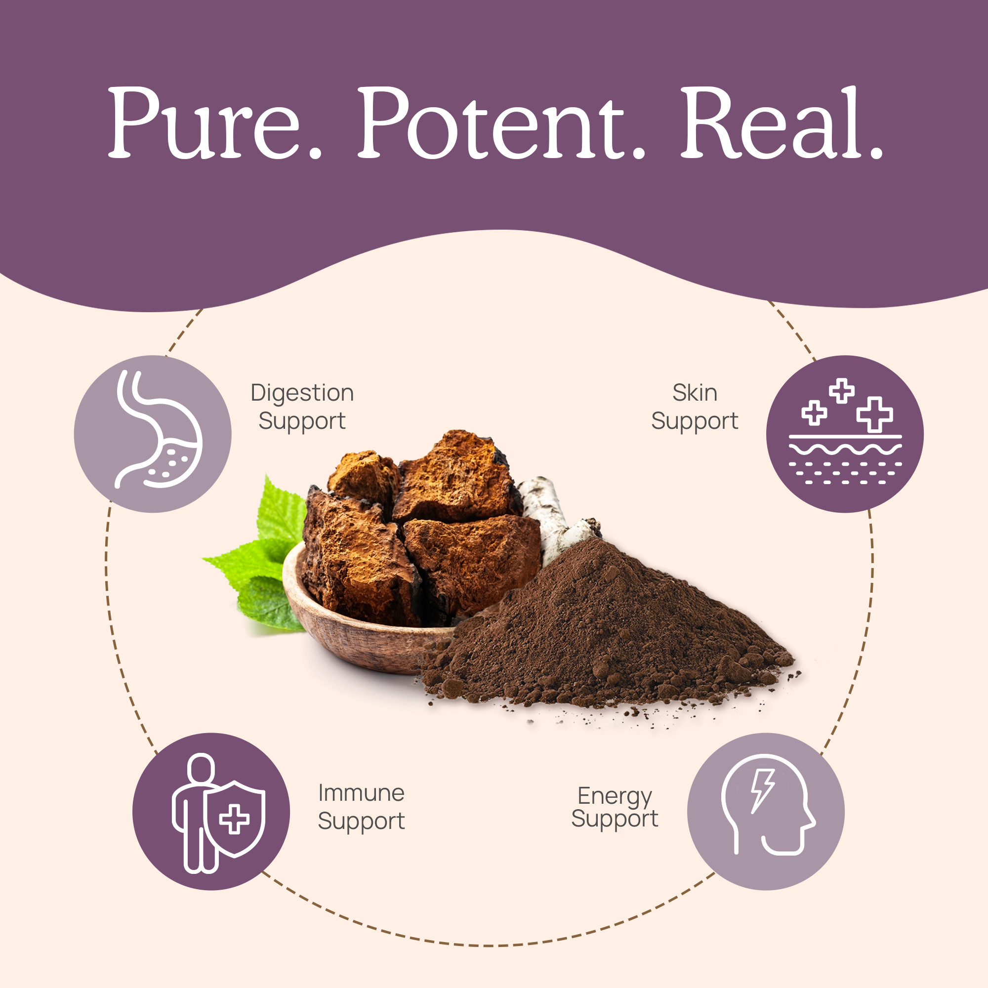 Organic Chaga Extract Capsules for Pets