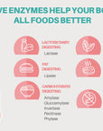 Buy 2 DIGEST Get 1 DIGEST Free gut health Pure Food Digestive Health 