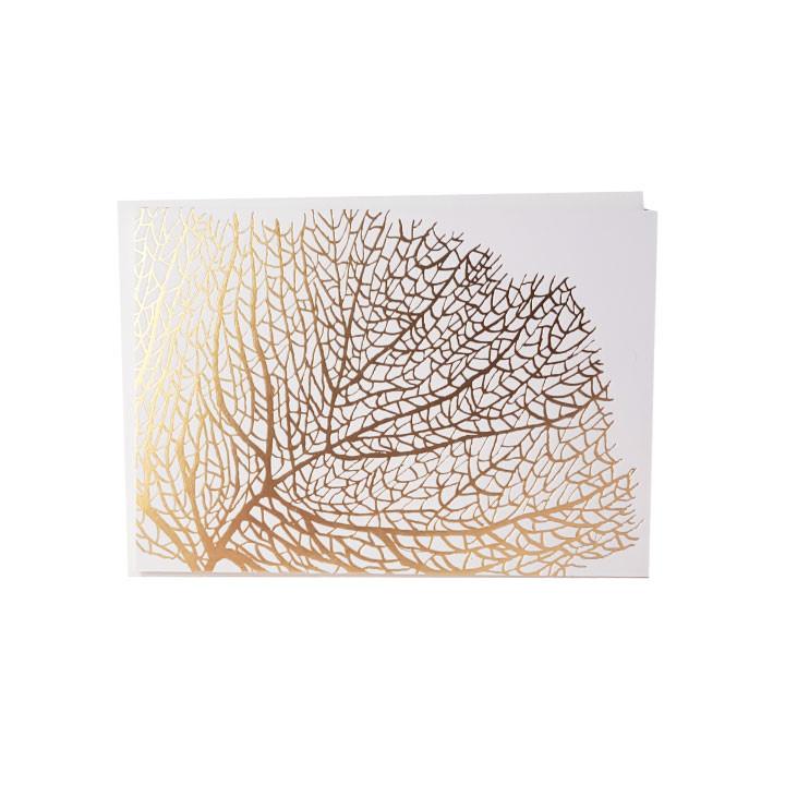 Gold Foil Fan Coral Note Card Note Card Bradley & Lily 