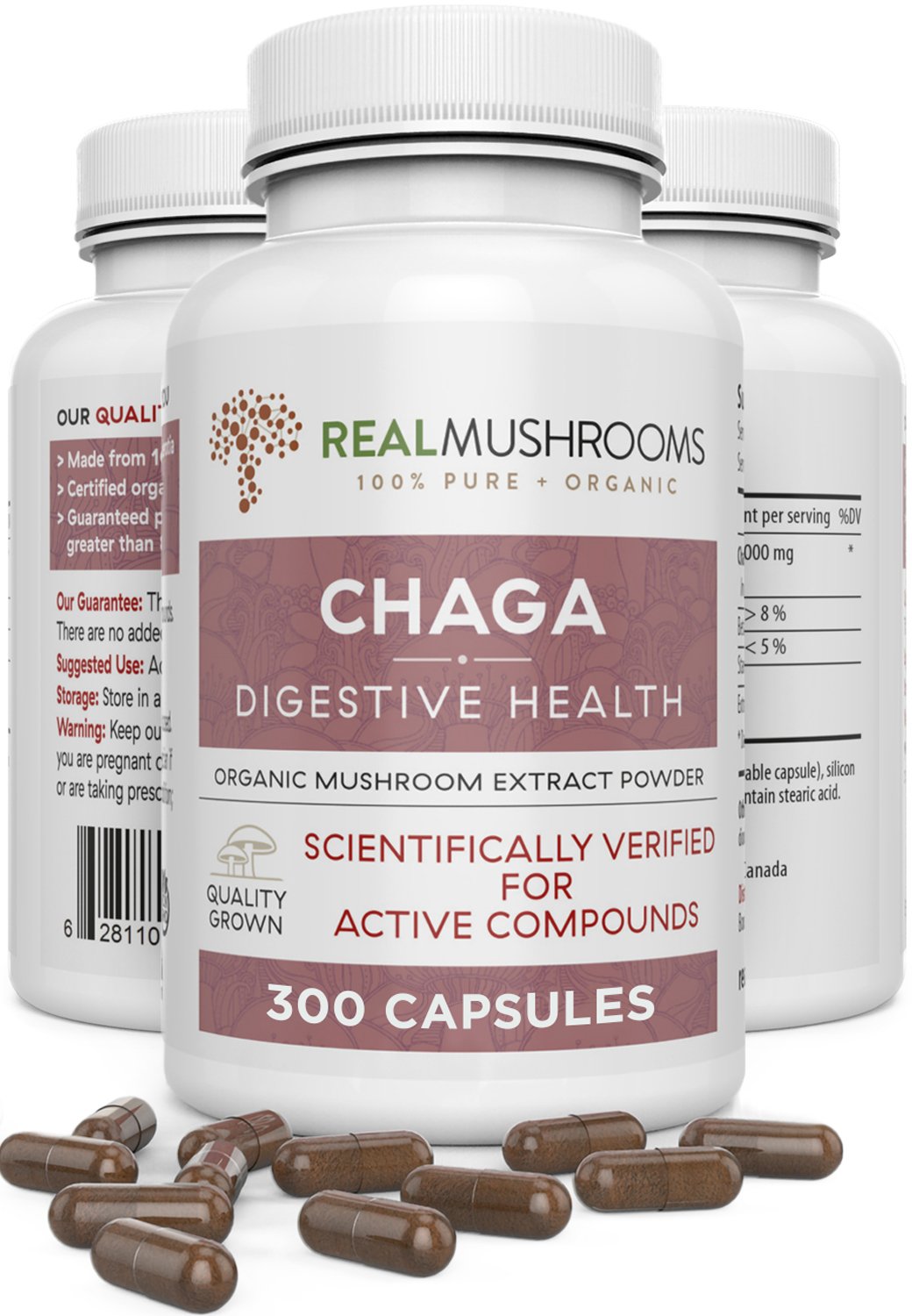 Chaga Extract - Capsules Capsules Real Mushrooms 