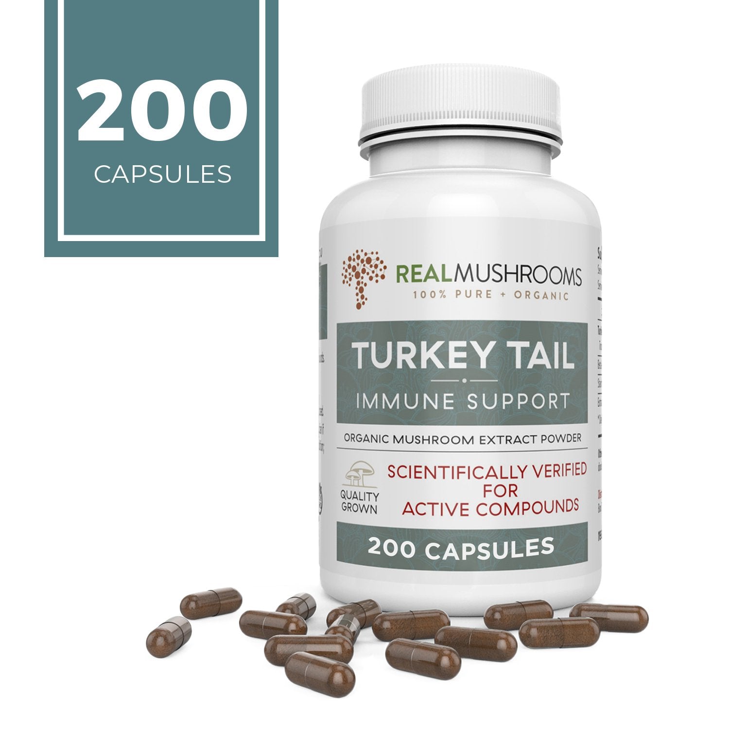 Turkey Tail Extract - Capsules Capsules Real Mushrooms 200 Capsules 