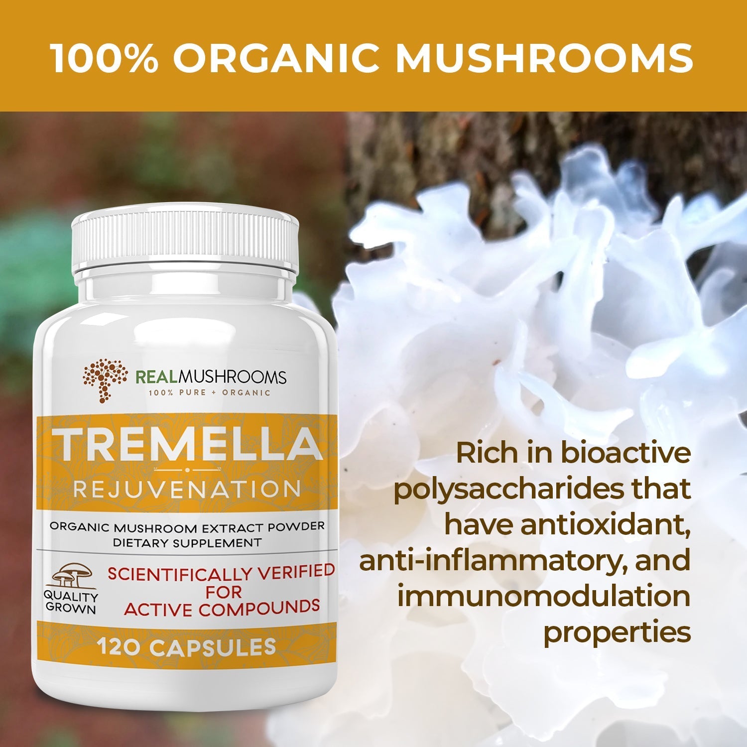 Organic Tremella Extract Capsules Mushroom Extracts Real Mushrooms 