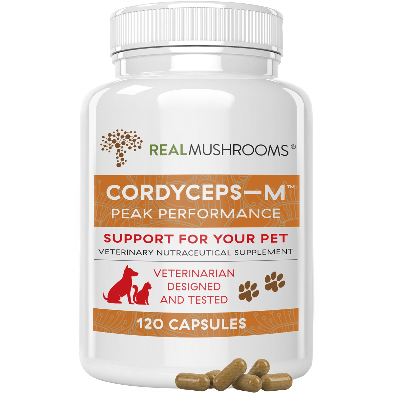 Organic Cordyceps Extract Capsules for Pets