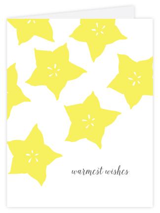 Starfruit Warmest Wishes Letterpress Card Greeting Card Bradley & Lily 