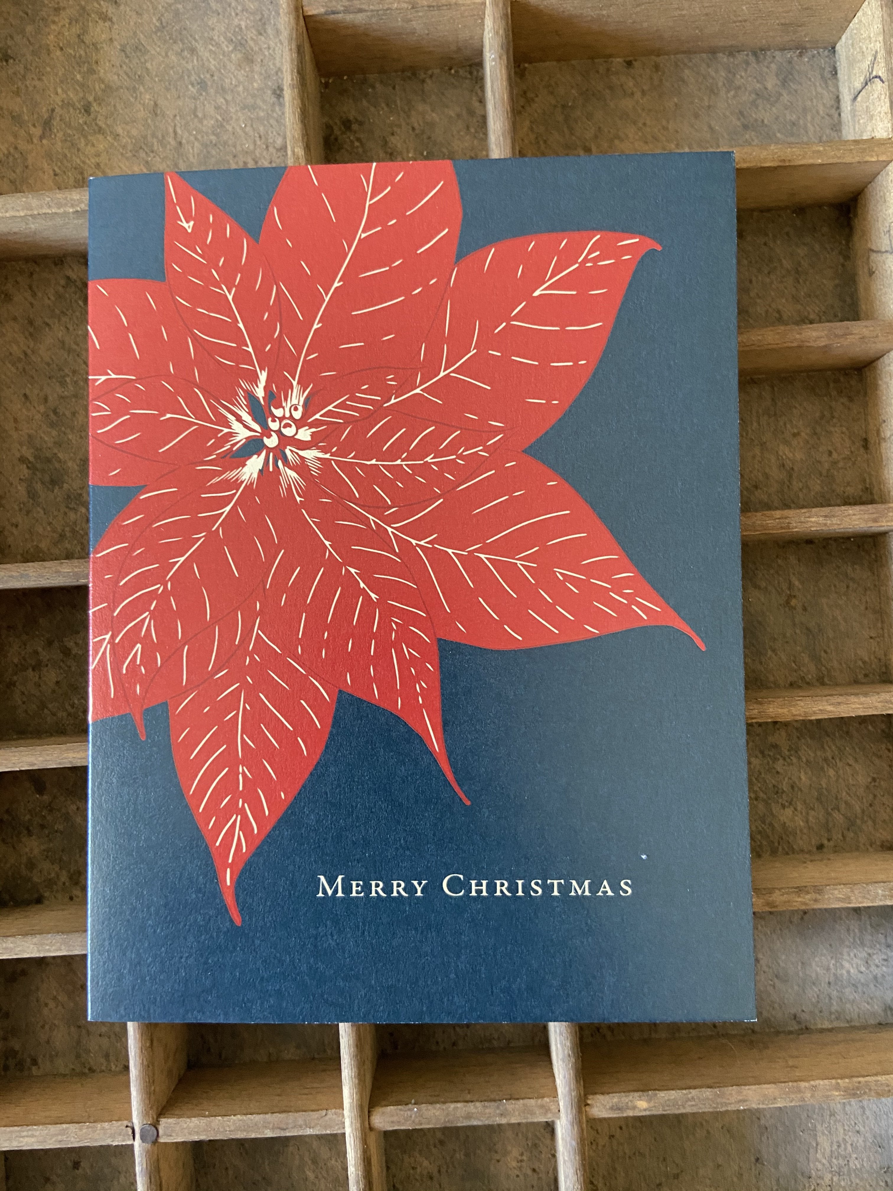 Poinsettia Merry Christmas Holiday Card Christmas Card Bradley &amp; Lily 