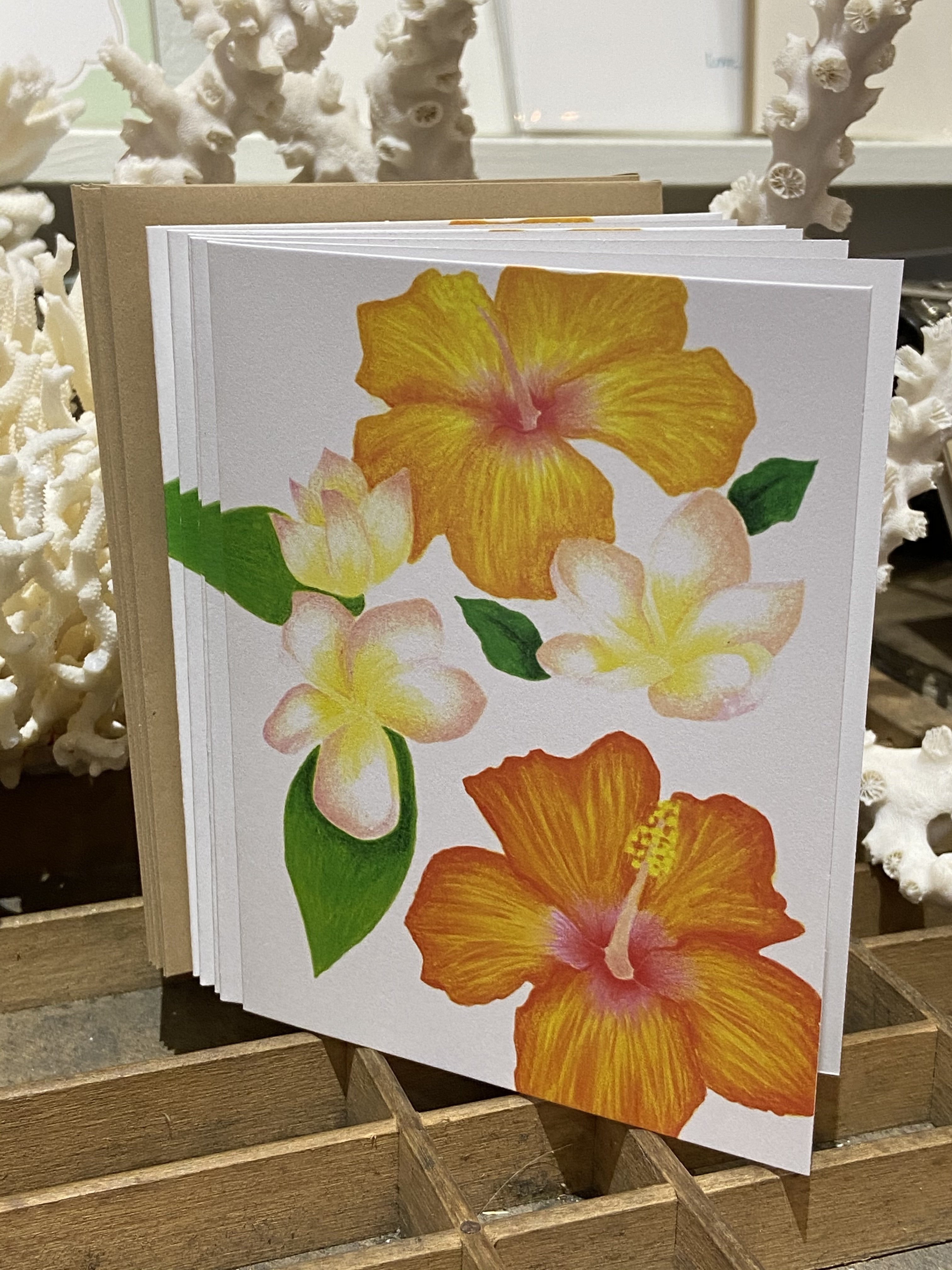 Sasha&#39;s Tropical Folded Cards 5 Pack Note Card Bradley &amp; Lily 