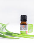 Organic Lemongrass Essential Oil (Cymbopogon Citratus) 10ml Essential Oil Soil Organic Aromatherapy 