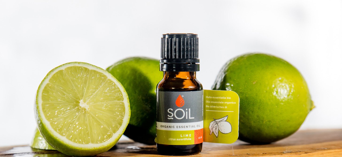 Organic Lime Essential Oil (Citrus Aurantifolia) 10ml Essential Oil Soil Organic Aromatherapy 