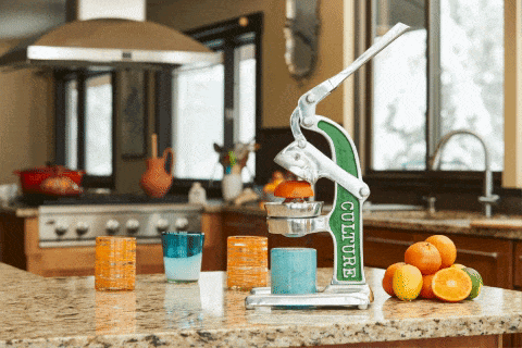 Artisan Citrus Juicer - Small