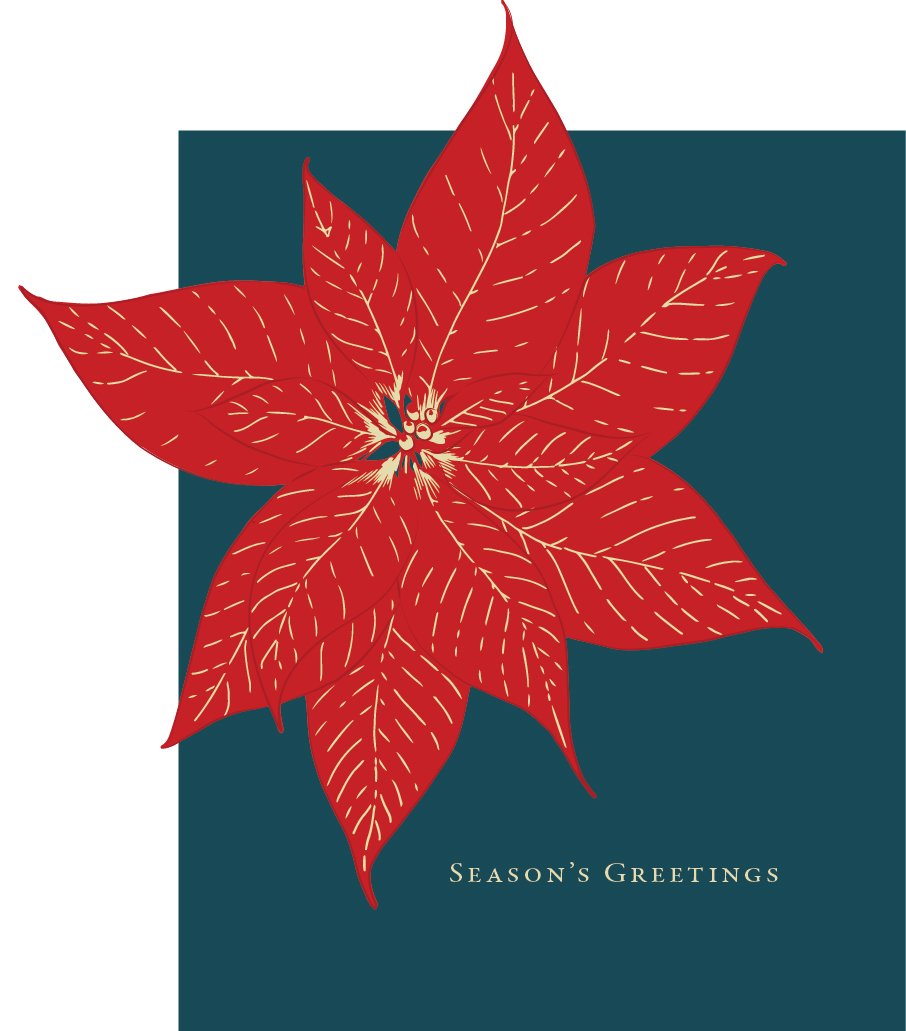 Poinsettia Seasons Greetings Holiday Card Holiday Card Bradley & Lily 