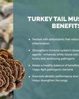 Turkey Tail Extract - Capsules Capsules Real Mushrooms 