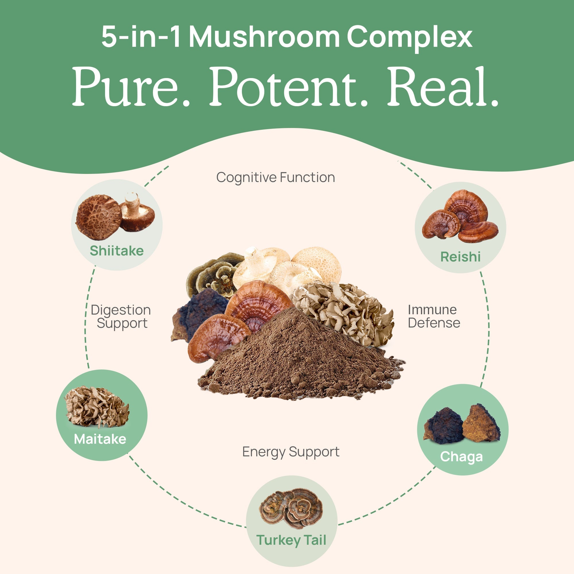 5 Defenders Organic Mushroom Blend Capsules