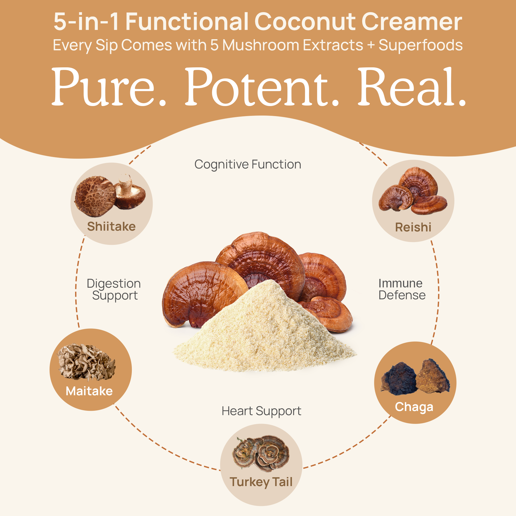 Functional Coconut Creamer - Powder