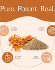 Organic Cordyceps Mushroom Extract Powder for Pets