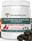 Mushroom Immune Pet Chews Mushroom Extracts Real Mushrooms 