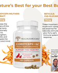 Organic Cordyceps Extract Capsules for Pets