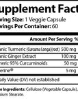 Pure Food TURMERIC with Ginger - 60 Capsules Unflavored Pure Food Digestive Health 