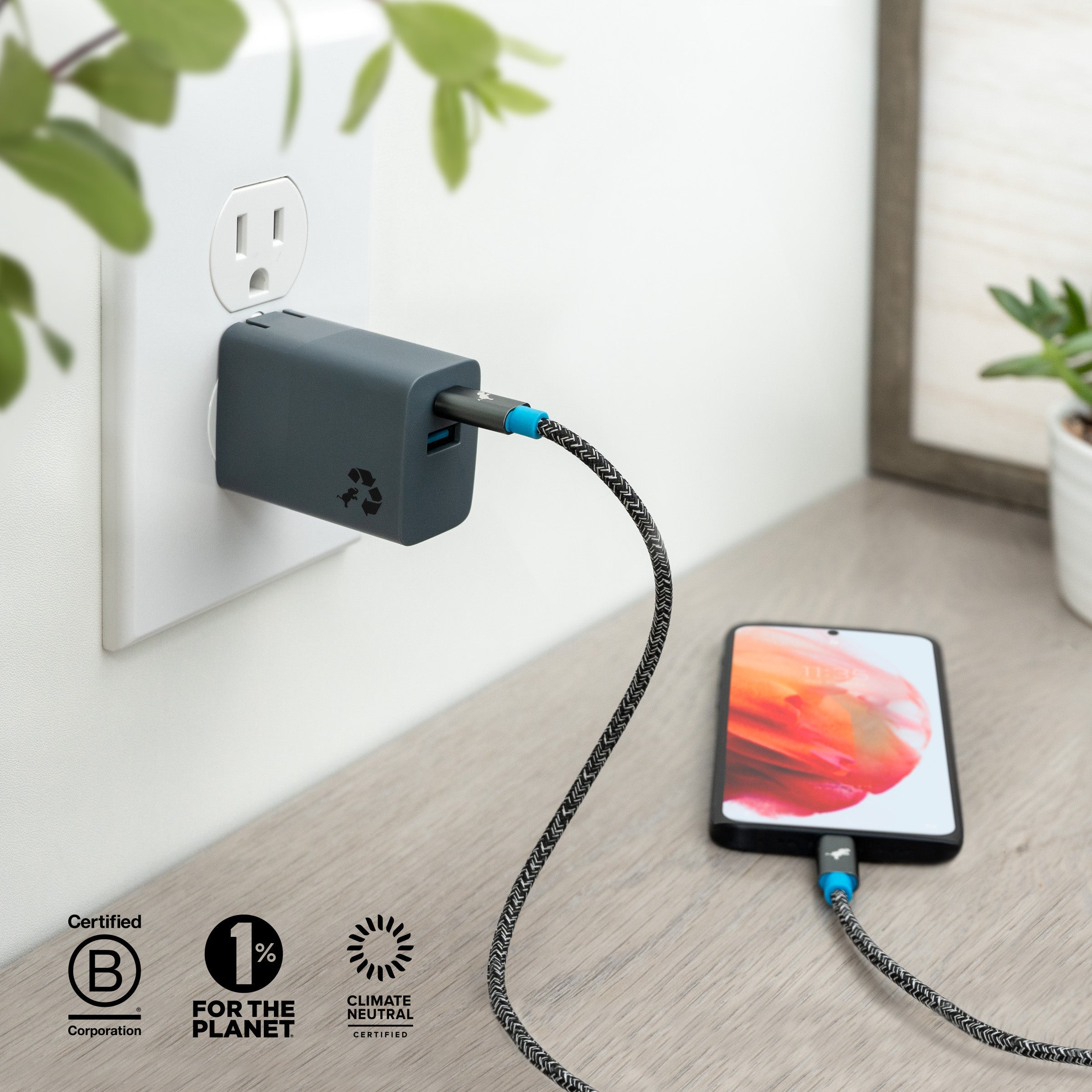 WALLY Mini Plus Wall Charger cell-phone-wall-chargers Nimble 