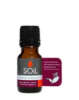 Organic Cinnamon Leaf Essential Oil (Cinnamoumm Zeylanicum) 10ml Essential Oils Soil Organic Aromatherapy 
