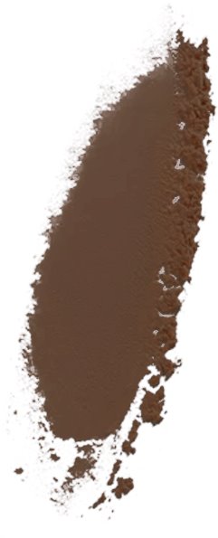 COLORFLO Refill for Brush Foundation Susan Posnick Cosmetics 