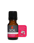 Organic Rose Geranium Essential Oil (Pelargoneum Graveolens) 10ml Essential Oil Soil Organic Aromatherapy 